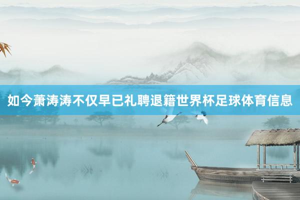如今萧涛涛不仅早已礼聘退籍世界杯足球体育信息