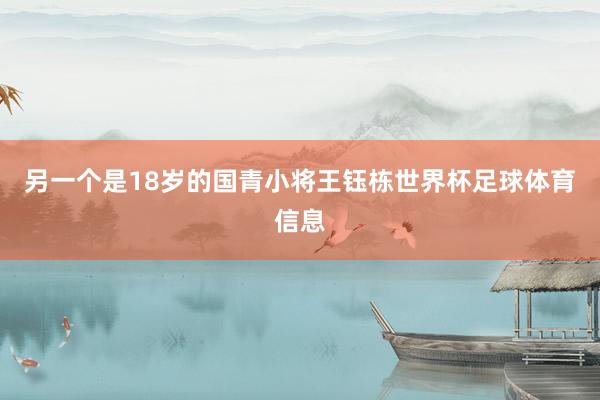 另一个是18岁的国青小将王钰栋世界杯足球体育信息