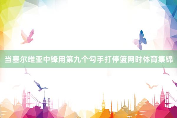 当塞尔维亚中锋用第九个勾手打停篮网时体育集锦