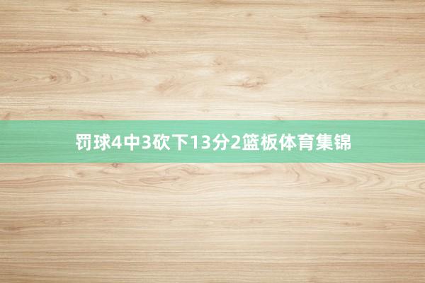 罚球4中3砍下13分2篮板体育集锦