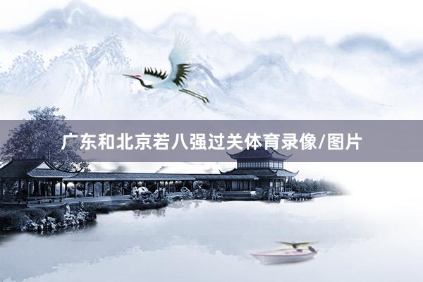 广东和北京若八强过关体育录像/图片
