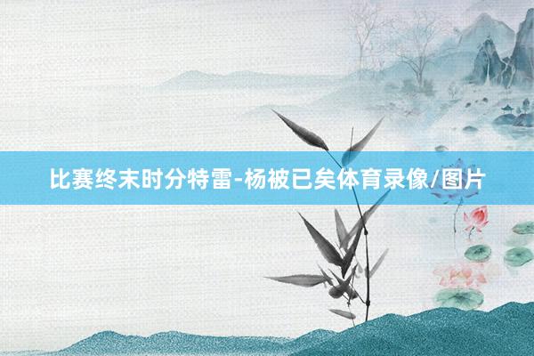 比赛终末时分特雷-杨被已矣体育录像/图片