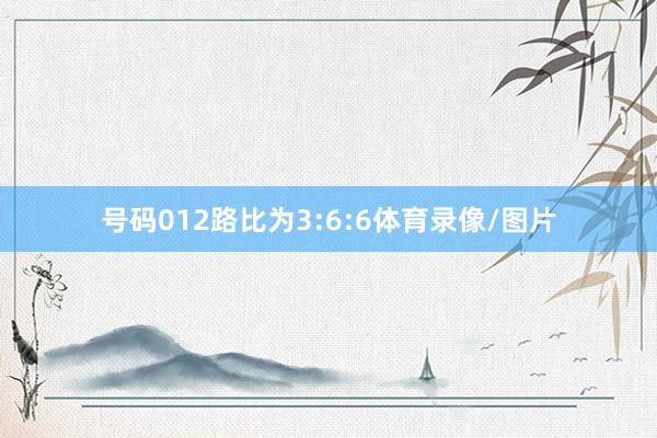 号码012路比为3:6:6体育录像/图片