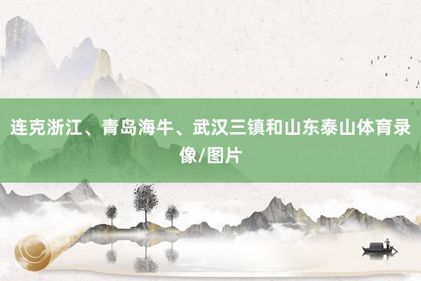 连克浙江、青岛海牛、武汉三镇和山东泰山体育录像/图片