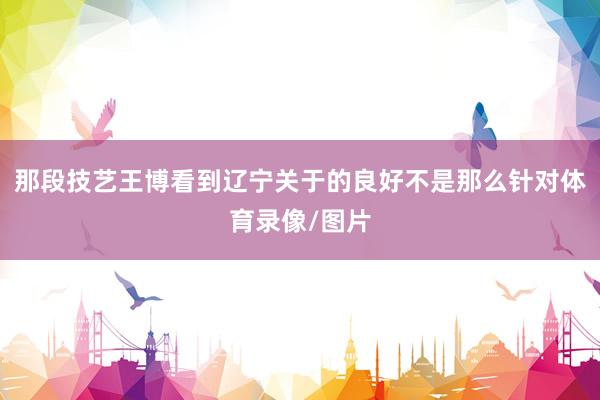 那段技艺王博看到辽宁关于的良好不是那么针对体育录像/图片