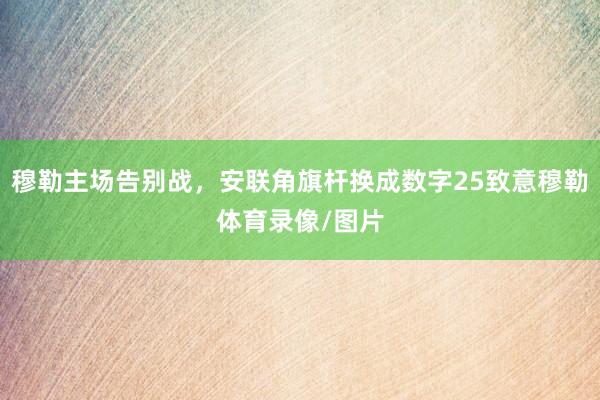 穆勒主场告别战，安联角旗杆换成数字25致意穆勒体育录像/图片