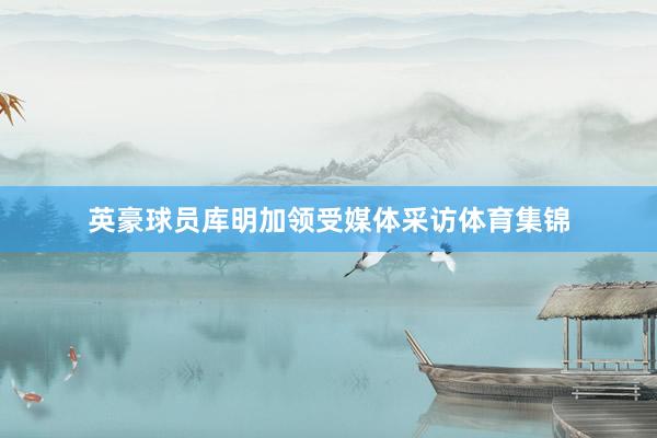 英豪球员库明加领受媒体采访体育集锦