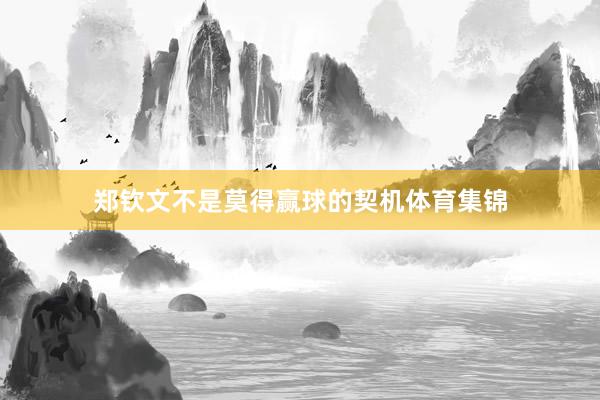 郑钦文不是莫得赢球的契机体育集锦