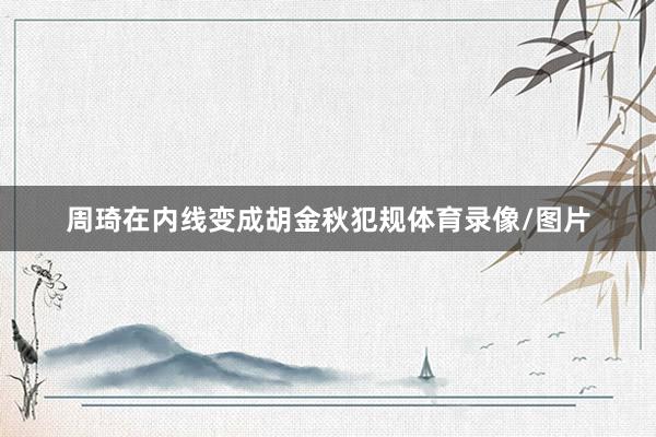 周琦在内线变成胡金秋犯规体育录像/图片