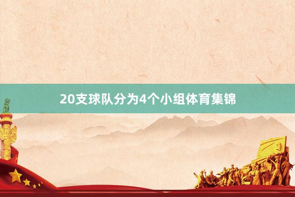 20支球队分为4个小组体育集锦