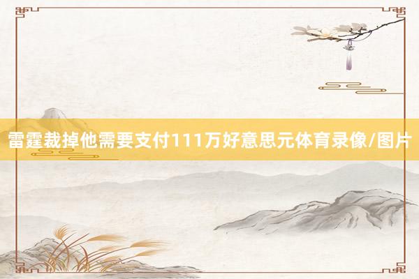 雷霆裁掉他需要支付111万好意思元体育录像/图片