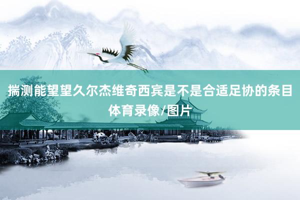 揣测能望望久尔杰维奇西宾是不是合适足协的条目体育录像/图片