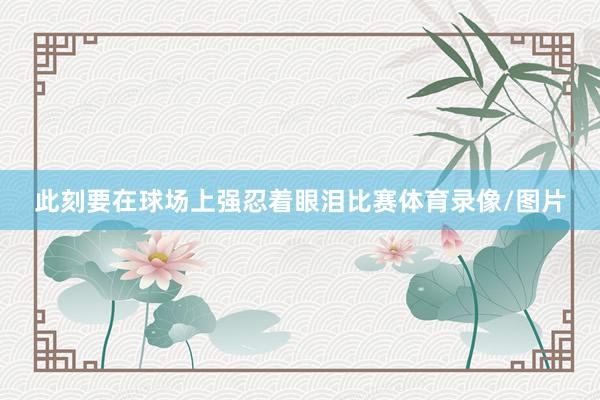 此刻要在球场上强忍着眼泪比赛体育录像/图片