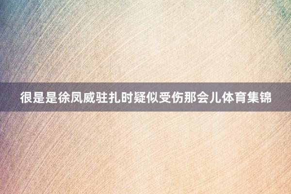 很是是徐凤威驻扎时疑似受伤那会儿体育集锦