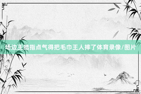 场边王皓指点气得把毛巾王人摔了体育录像/图片