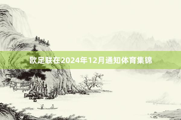 欧足联在2024年12月通知体育集锦