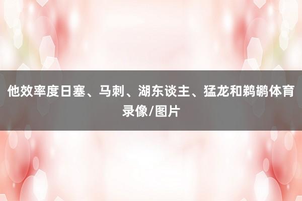他效率度日塞、马刺、湖东谈主、猛龙和鹈鹕体育录像/图片