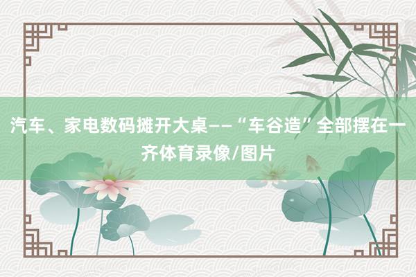汽车、家电数码摊开大桌——“车谷造”全部摆在一齐体育录像/图片