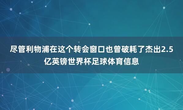 尽管利物浦在这个转会窗口也曾破耗了杰出2.5亿英镑世界杯足球体育信息