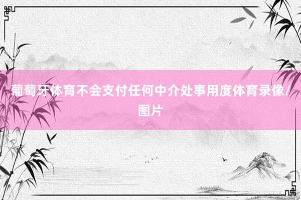 葡萄牙体育不会支付任何中介处事用度体育录像/图片