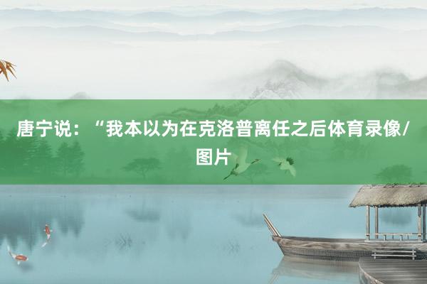 唐宁说：“我本以为在克洛普离任之后体育录像/图片