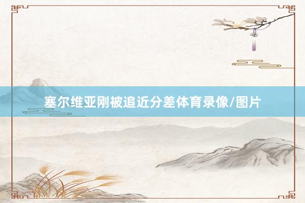 塞尔维亚刚被追近分差体育录像/图片