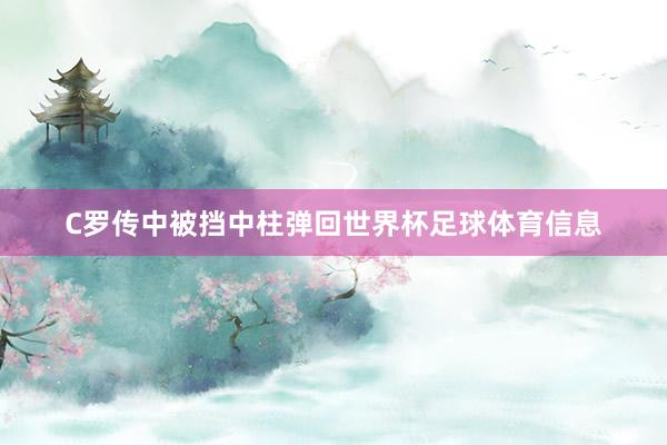 C罗传中被挡中柱弹回世界杯足球体育信息