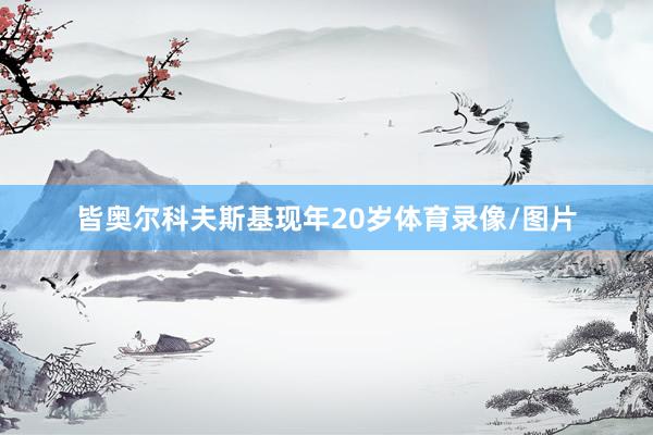 皆奥尔科夫斯基现年20岁体育录像/图片