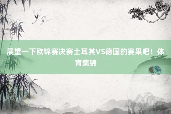 展望一下欧锦赛决赛土耳其VS德国的赛果吧！体育集锦