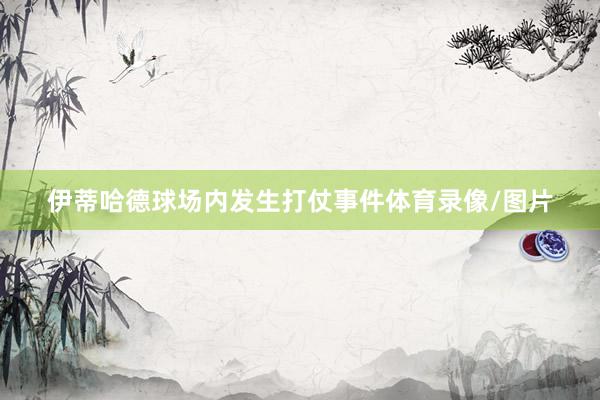 伊蒂哈德球场内发生打仗事件体育录像/图片