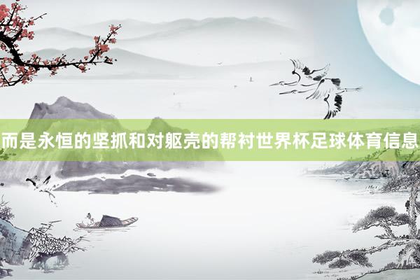 而是永恒的坚抓和对躯壳的帮衬世界杯足球体育信息