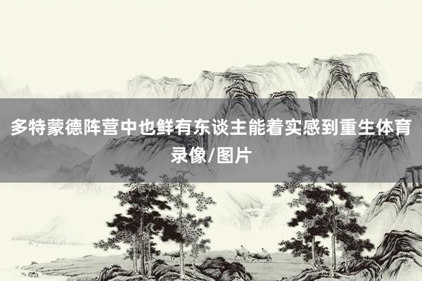多特蒙德阵营中也鲜有东谈主能着实感到重生体育录像/图片