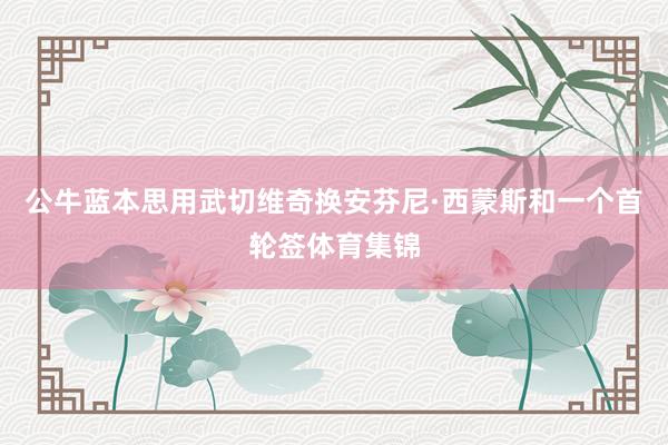 公牛蓝本思用武切维奇换安芬尼·西蒙斯和一个首轮签体育集锦