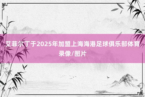 艾菲尔丁于2025年加盟上海海港足球俱乐部体育录像/图片