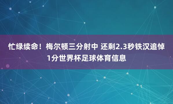 忙绿续命！梅尔顿三分射中 还剩2.3秒铁汉追悼1分世界杯足球体育信息