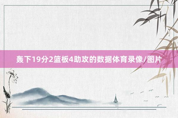 轰下19分2篮板4助攻的数据体育录像/图片