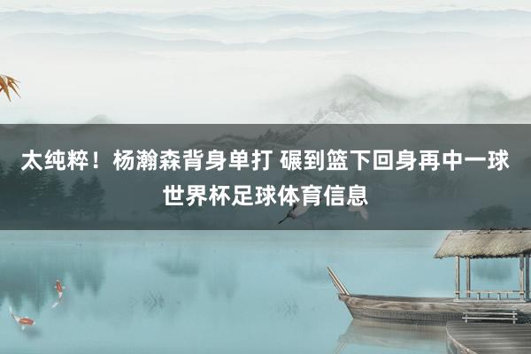 太纯粹！杨瀚森背身单打 碾到篮下回身再中一球世界杯足球体育信息