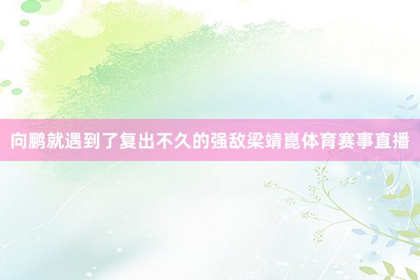 向鹏就遇到了复出不久的强敌梁靖崑体育赛事直播